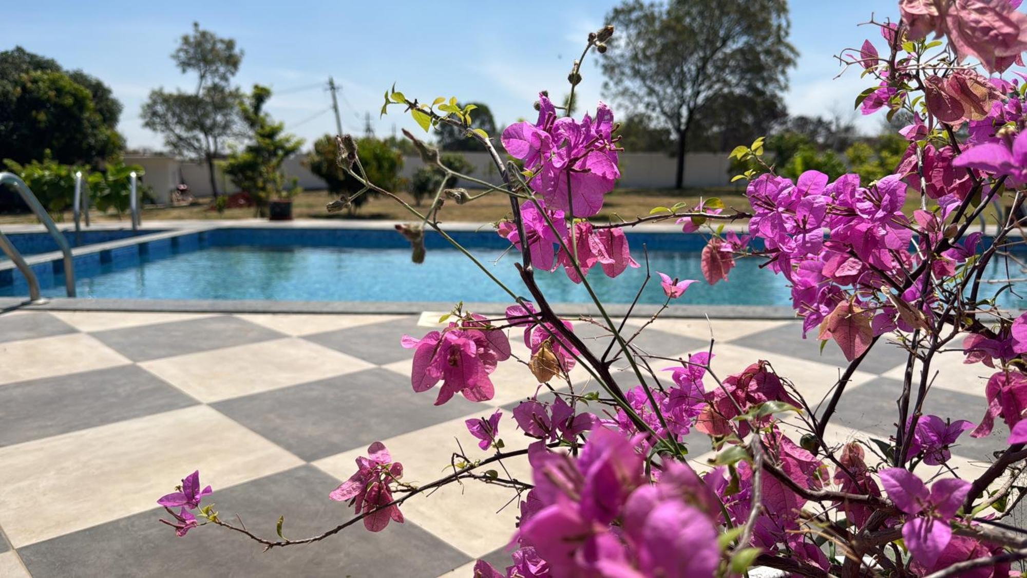 Raj Home Stay Mysore Exteriör bild